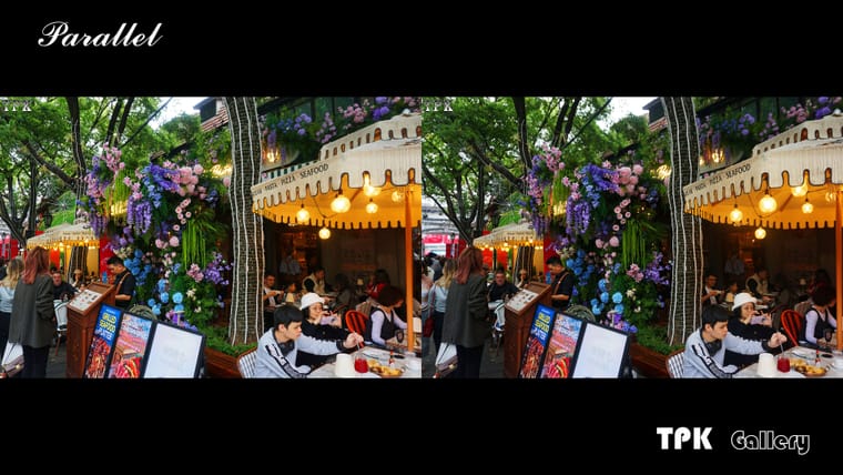 2026上海国际花卉节(5)【立体摄影】SBS左右图 260527 - 图片4
