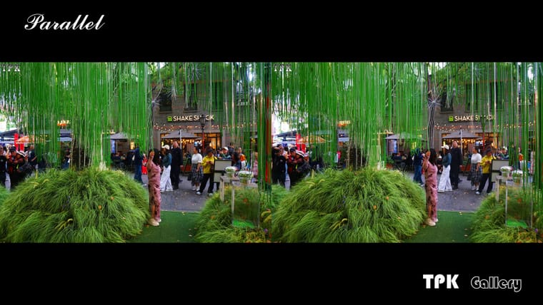 2026上海国际花卉节(5)【立体摄影】SBS左右图 260527 - 图片6