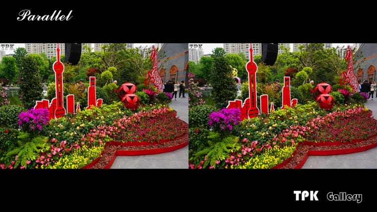 2026上海国际花卉节(5)【立体摄影】SBS左右图 260527 - 图片8