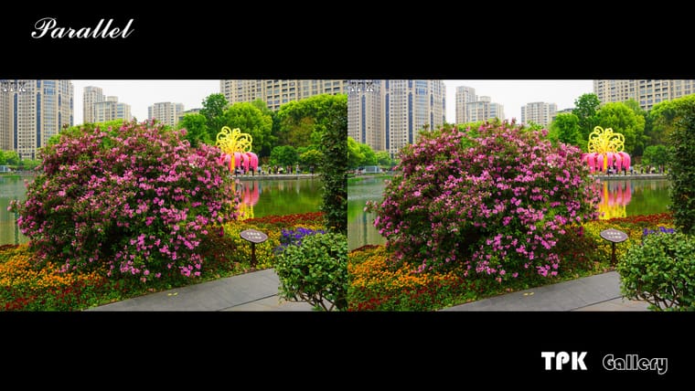 2026上海国际花卉节(6)【立体摄影】SBS左右图 260529 - 主图