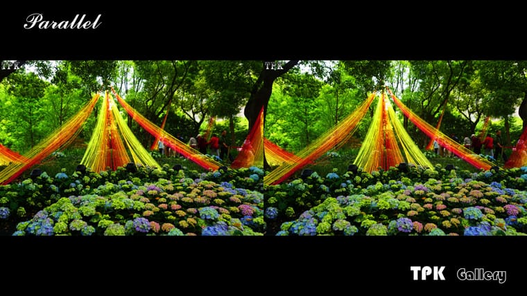 2026上海国际花卉节(6)【立体摄影】SBS左右图 260529 - 图片2