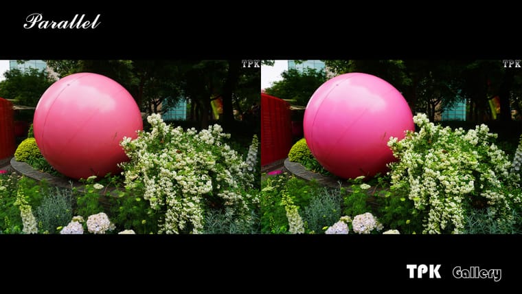 2026上海国际花卉节(6)【立体摄影】SBS左右图 260529 - 图片3