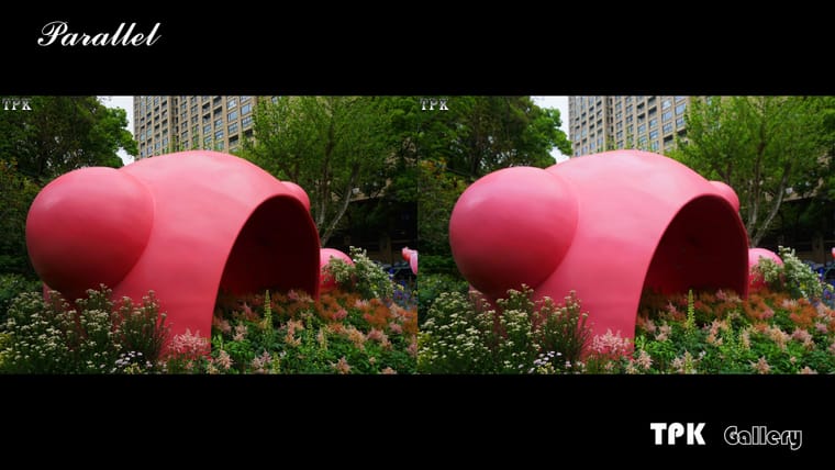 2026上海国际花卉节(6)【立体摄影】SBS左右图 260529 - 图片4