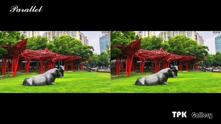 牛 还是那么静静地躺着【立体摄影】SBS左右图 260530 - 图片5