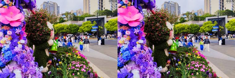 2026上海国际花卉节(7)【立体摄影】SBS左右图 260605 - 图片7