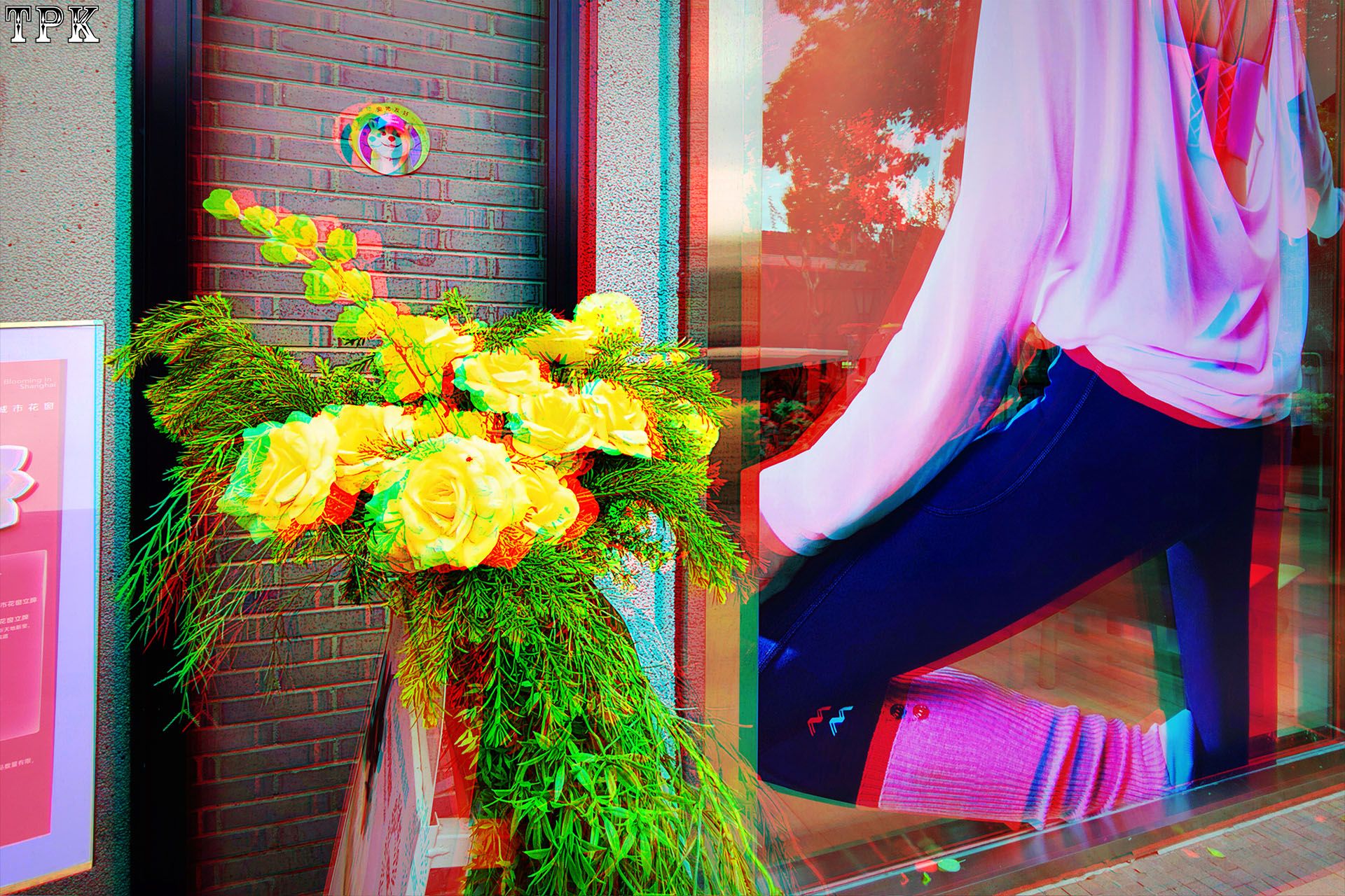2026上海国际花卉节(7)【立体摄影】XRC红青图 260605 - 图片2