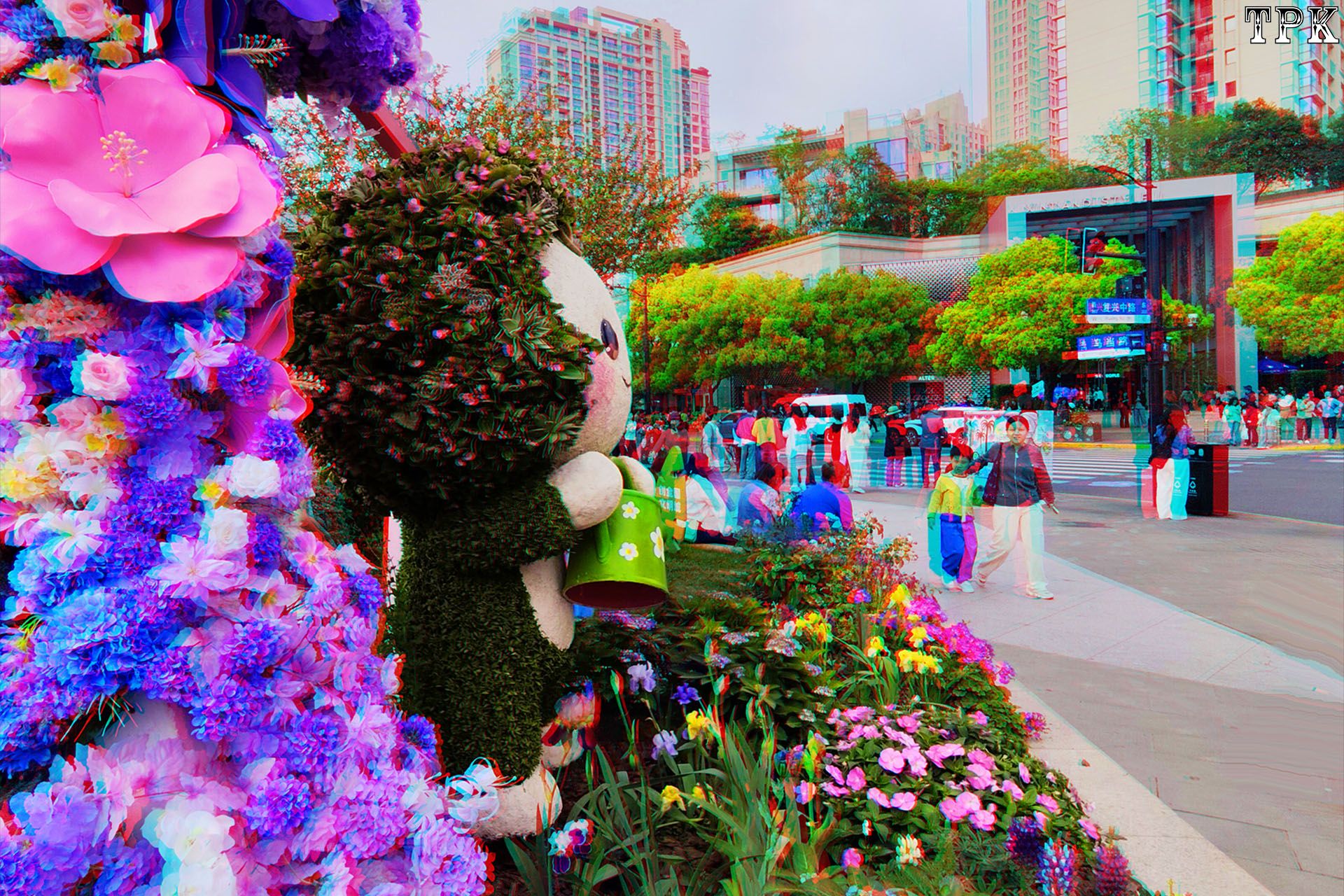 2026上海国际花卉节(7)【立体摄影】XRC红青图 260605 - 图片7