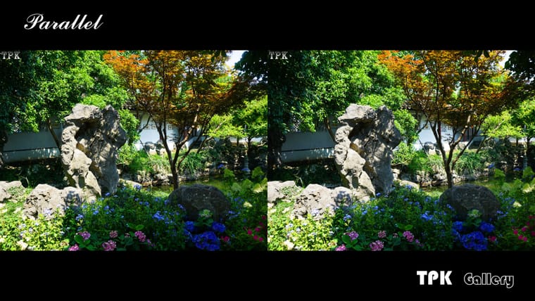 姑苏怡园得闲游(3)【立体摄影】SBS左右图 260616 - 图片2