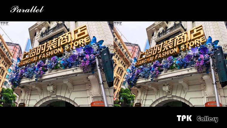 去趟南京路（上海） 总要拍几张【立体摄影】SBS左右图 260618 - 主图