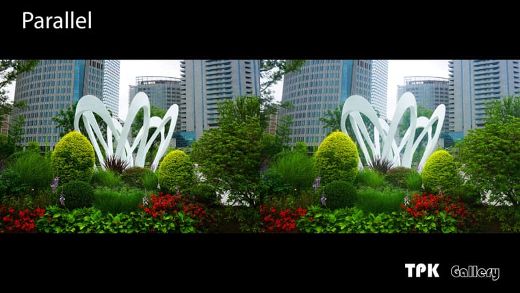 徜徉在世界花艺园（3）【立体摄影】SBS左右图 260623 - 主图