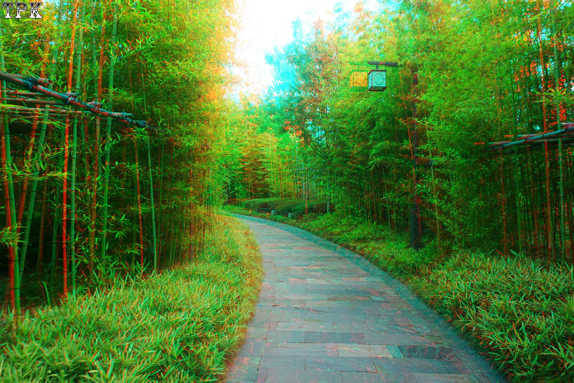徜徉在世界花艺园（3）【立体摄影】XRC红青图 260623 - 图片7
