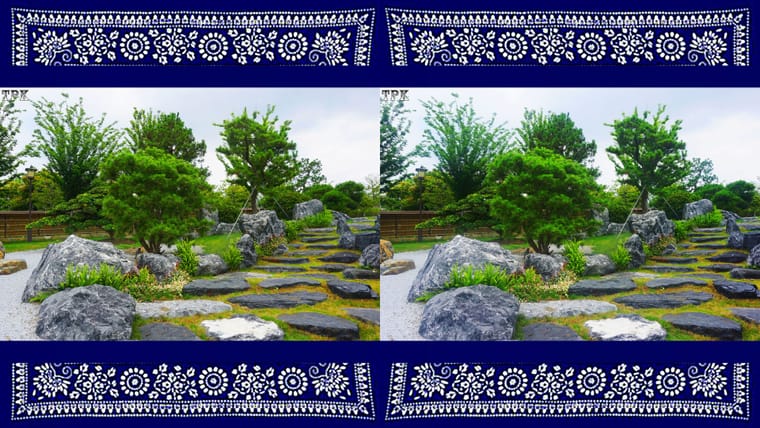 徜徉在世界花艺园（4）【立体摄影】SBS左右图 260708 - 图片5