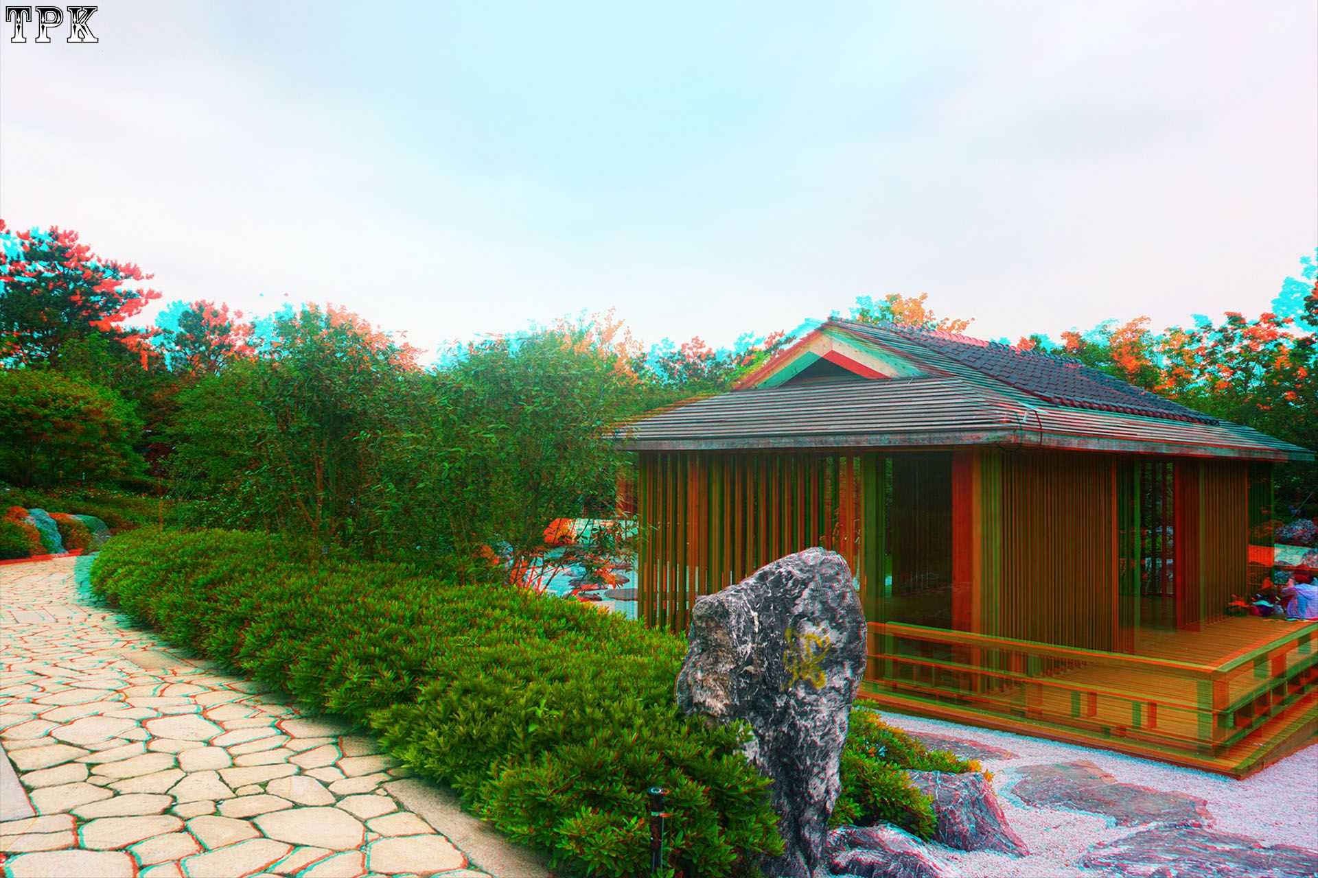 徜徉在世界花艺园（4）【立体摄影】XRC红青图 260708 - 图片7