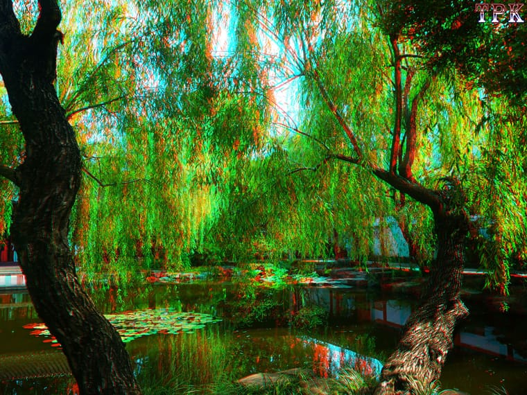 苏州可园（1）【立体摄影】XRC红青图 260721 - 图片7