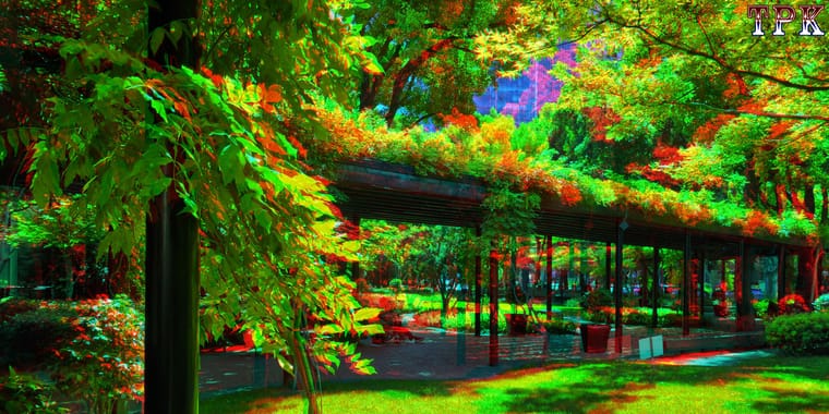 路边溜达（1）【全屏立体图】 260725 - 图片4