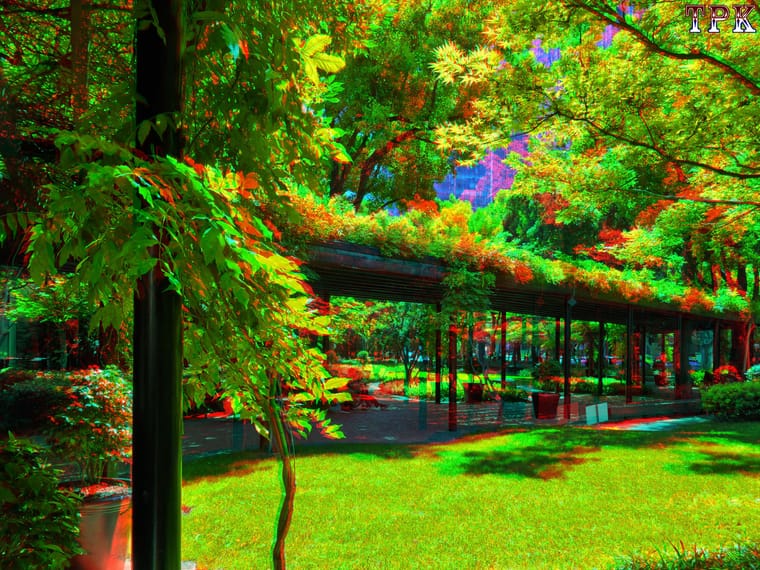好景好心情【立体摄影】XRC红青图 260803 - 图片2