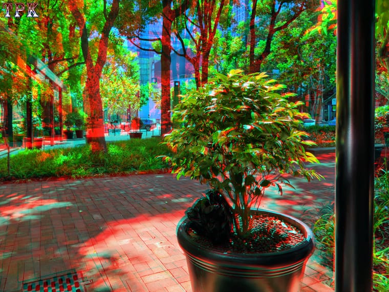好景好心情【立体摄影】XRC红青图 260803 - 图片4